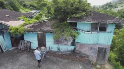 There's a Tree Growing Through the Roof!