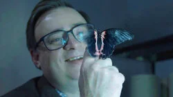 Безноженьки