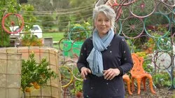 Episode 6 - Autumn: Waterwise pots and bee-inspired art