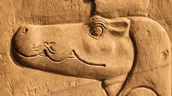 Des crocodiles momifiés et la cité perdue d'Avaris