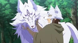 Wolf and Adventurer