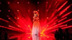 Road To The Semi-Finals