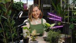 Episode 15 - Autumn: Frog ponds and chrysanthemums