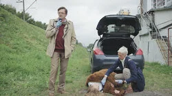 Теорема Большой Медведицы