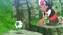 Wattrel's High Wind Warning!