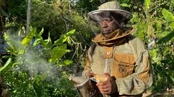 Westmoreland - Jamaica