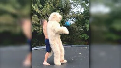 Top 10 Times the Tail Just Got in the Way