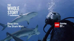 Deep Dive: The Shark Wars