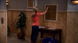 The Vegas Renormalization