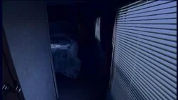 The Secret Life of the Homecoming Queen