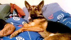 Top 10 Turkeys Who Won't Get a Presidential Pardon This Thanksgiving