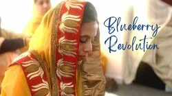 Blueberry Revolution