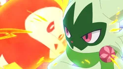 Shine on, Terastallization! Liko vs. Roy!