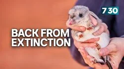 Back From Extinction