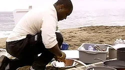 The Raw and the Cooked