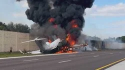 Crosswalk Confrontation