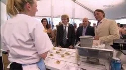 Mississippi Mud Bugs