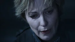 Рваная сеть