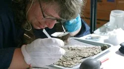 Mysteries of the Exodus