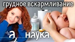Нам врут про молочные смеси? Чем уникально грудное молоко? Научные исследования
