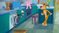 Загадка из носков