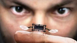 Why Are Scientists Making Robot Insects?
