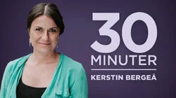 Kerstin Bergeå, Svenska freds- och skiljedomsföreningen