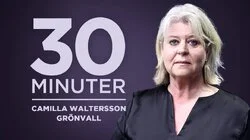 Camilla Waltersson Grönvall, socialtjänstminister