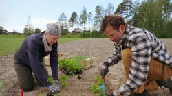 Selvforsyning er mye jobb