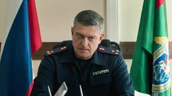 80. Тарантул II