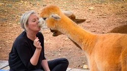 Ibiza – Jeg tøffer meg bare for Norge