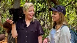 Madagaskar – En form for null stjerners tivoli, vil jeg si