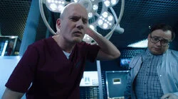 Девятихвостый кот