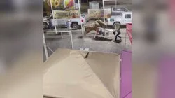 Runaway at the Rodeo