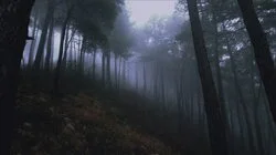 The Rendlesham Forest Incident