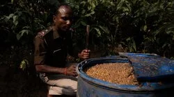 India: The Moonshine State