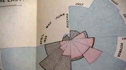 The Rose Diagram, Florence Nightingale
