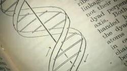 DNA, James Watson and Francis Crick
