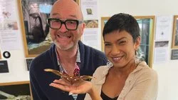 The 'Finial' Countdown