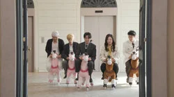 Horseback Riding Quiz