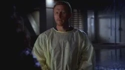 In the Midnight Hour