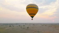 Thailand, New Zealand, Tasmania