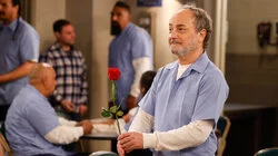 Welcome to the Yippedy-Dip