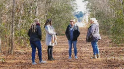 The Land of Milk and Honey?