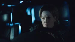 Скотомогильник