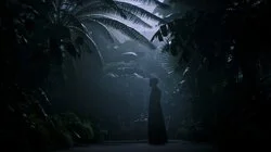 Chapter 17: Time and Night