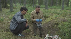 Власть мицелия