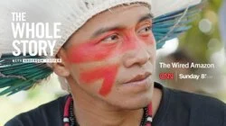 The Wired Amazon