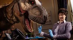 Gravity the Musical, a T-rex and Vampires on Holiday