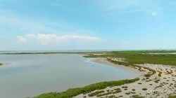 From the Alps to the Sea